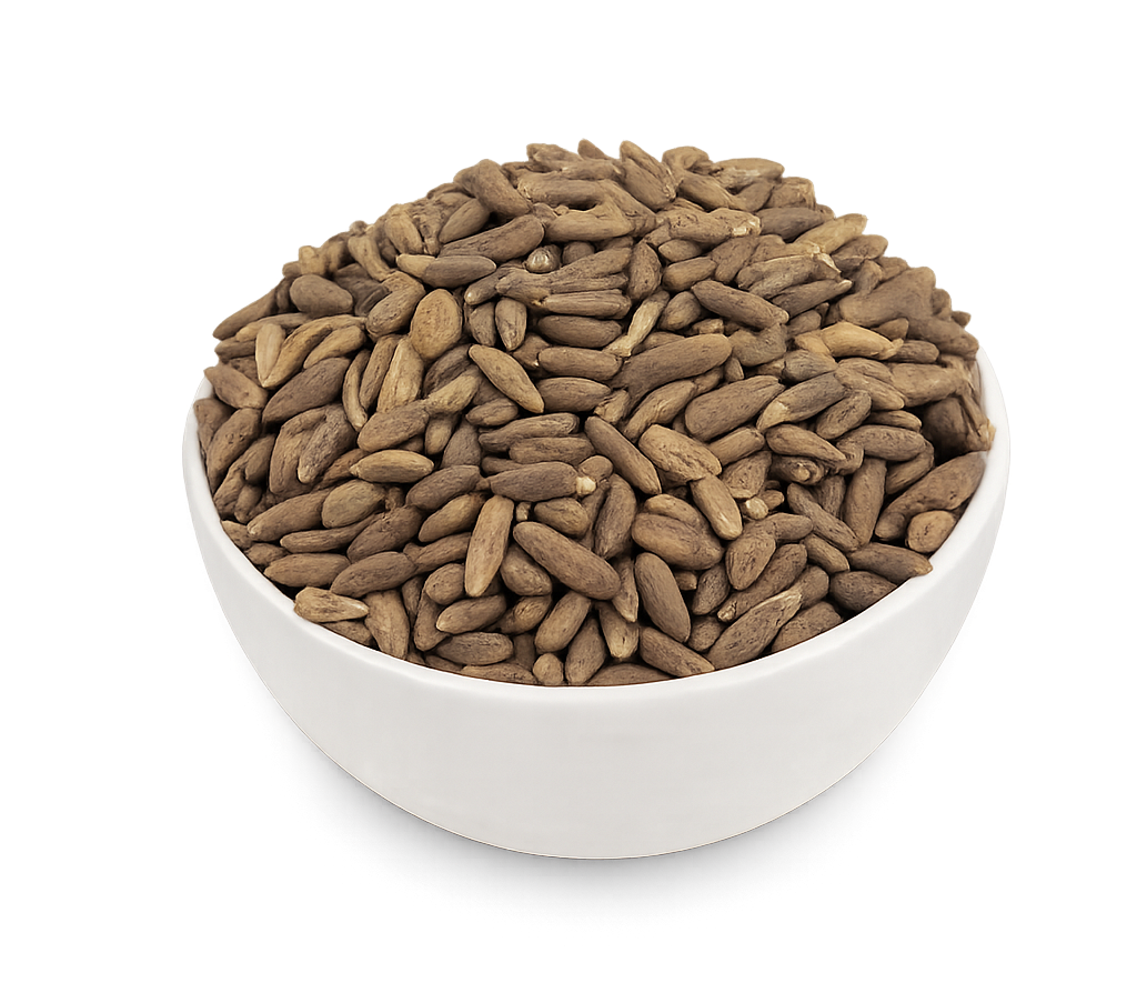 Chilgoza Pine Nuts Chilgoza Pine Nuts - Image 1
